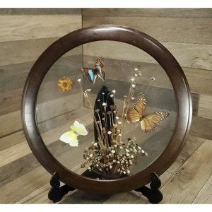 Dried Flowers & Real Butterfly Vintage 12" Framed Wall Hanging Art